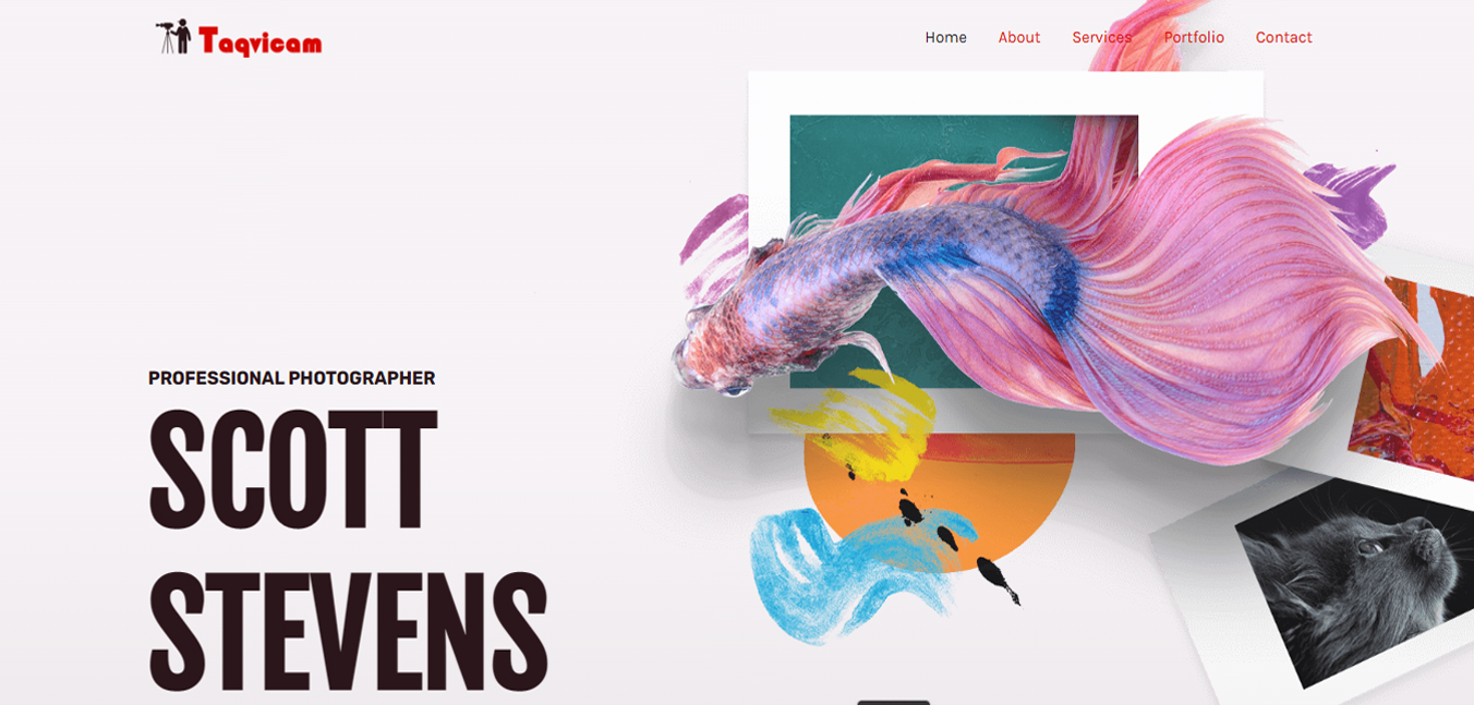portfolio reevan